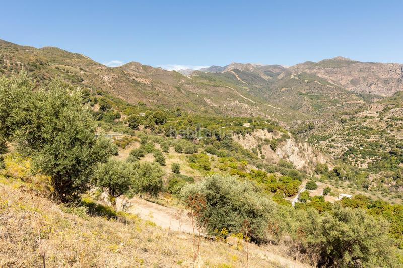 Foto 7e0bc492-662a-4b58-b82b-1801143ad272. Propriété dans carretera partida de turillas umbría las viñas dans Otívar