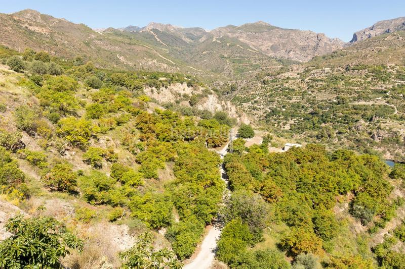 Foto 87b22169-7d1a-4bb5-829c-b4be90db75dd. Propriété dans carretera partida de turillas umbría las viñas dans Otívar