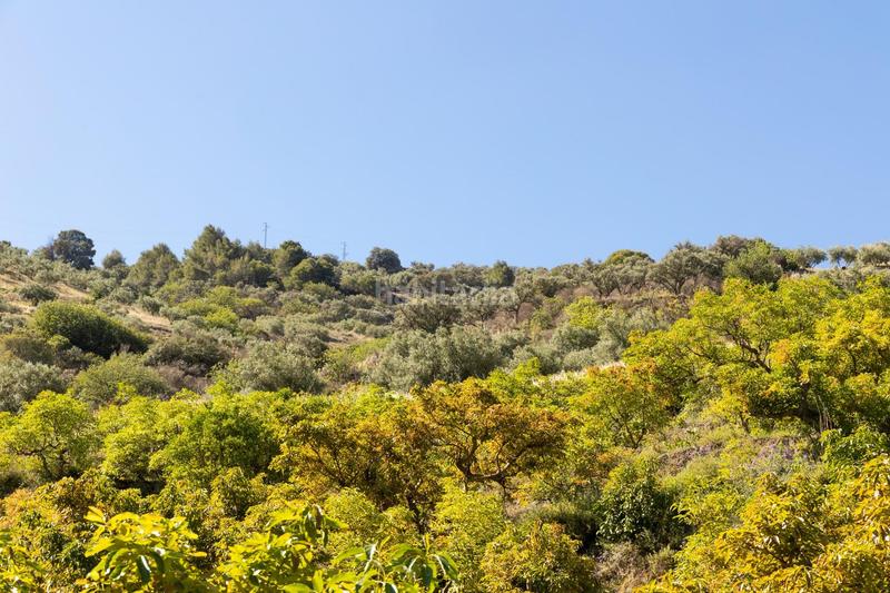 Foto 8dcf3113-448c-4dee-9ed2-af5066be3251. Propriété dans carretera partida de turillas umbría las viñas dans Otívar