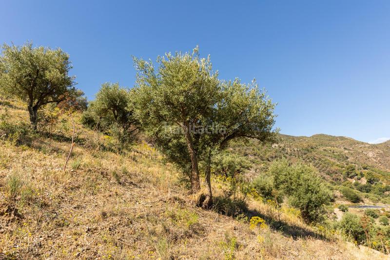 Foto a3774b32-909a-434f-98b0-f61e690c37e9. Propriété dans carretera partida de turillas umbría las viñas dans Otívar