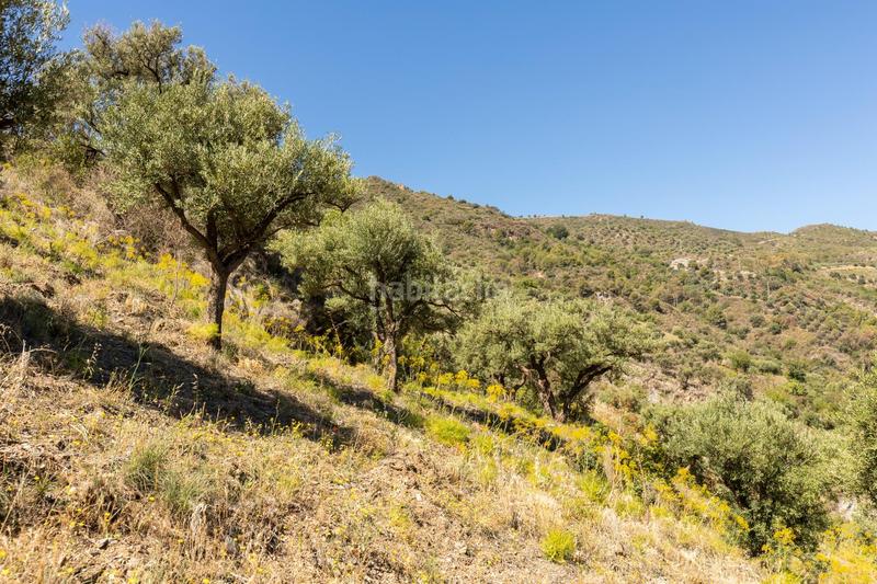 Foto b2499b02-c305-4239-9bef-2e3b0859d3ee. Propriété dans carretera partida de turillas umbría las viñas dans Otívar