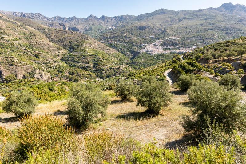 Foto b4b42ead-d674-4c19-8334-6e9546a8a4b3. Propriété dans carretera partida de turillas umbría las viñas dans Otívar