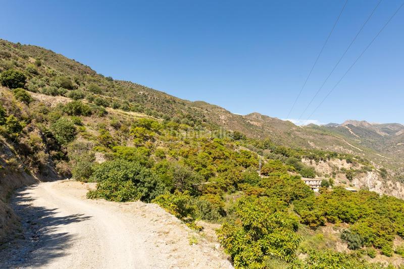 Foto cd7988b0-ea22-4c61-8596-4f122003db6d. Propriété dans carretera partida de turillas umbría las viñas dans Otívar