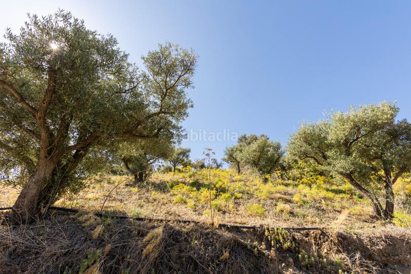 Foto dc0dcff4-b659-490c-ab9c-cdd9286e6bca. Propriété dans carretera partida de turillas umbría las viñas dans Otívar