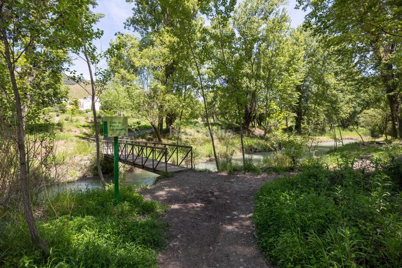 Foto b1d2b5c7-6cfa-4f6d-bc6d-4499292c51b1. Rural plot in Cenes de la Vega