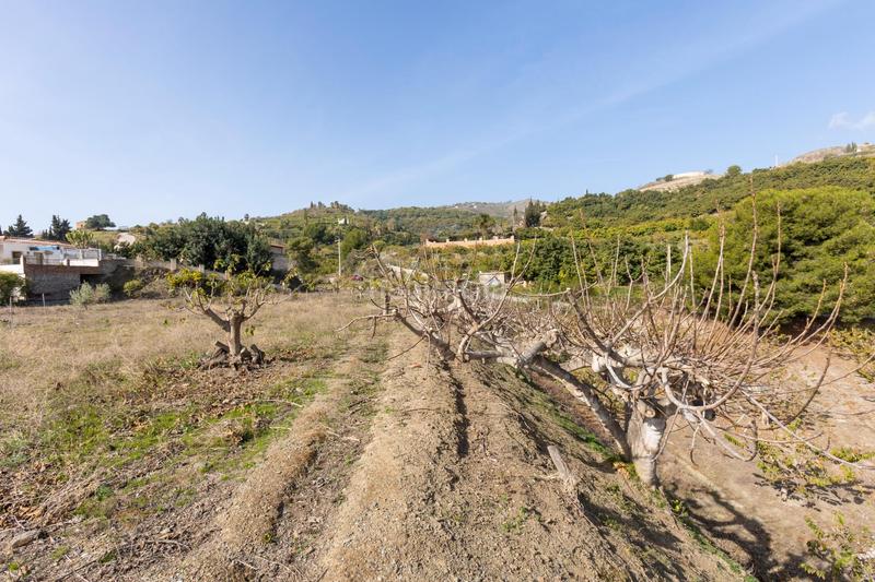 Foto b8df399d-6785-4d79-b122-eaf0d368b620. Masia a Lobres Salobreña