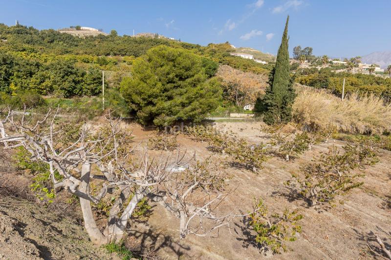 Foto ff302edc-0117-4115-a150-1b89eb34bdab. Masia a Lobres Salobreña
