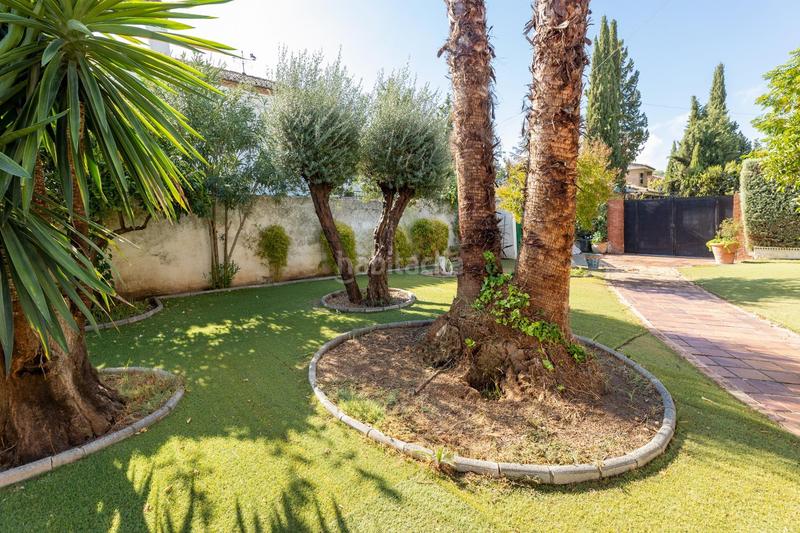 Foto 006fad3f-399d-4c5a-a729-2ba0857fad7e. Pis amb calefacció aparcament piscina a Albolote