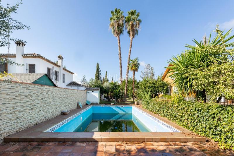 Foto cd1f5673-3789-461e-aeb9-1efc66e17b54. Pis amb calefacció aparcament piscina a Albolote