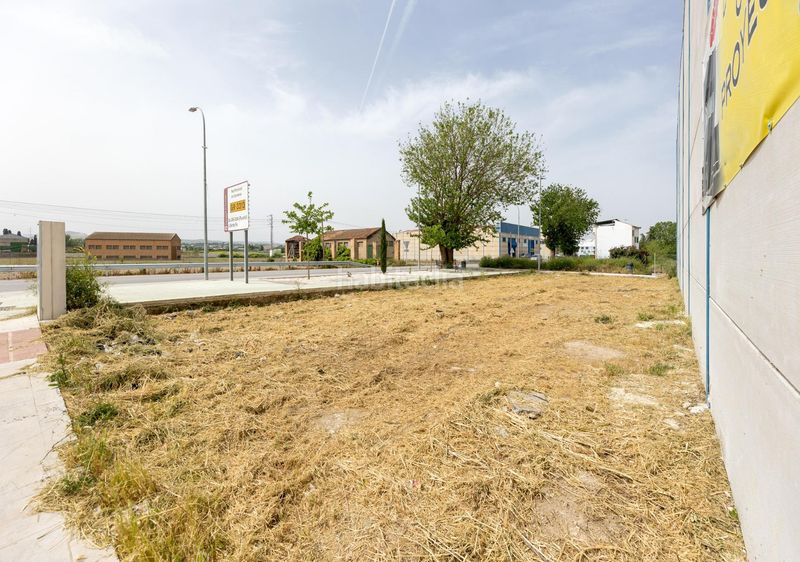 Foto f63b3e06-8861-4dfe-b792-e1459db07ec1. Solar industrial a Purchil Vegas del Genil