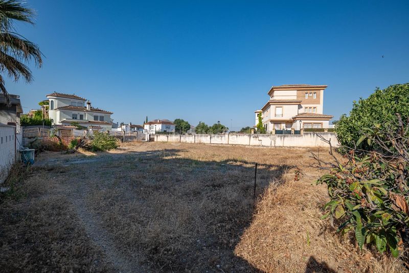 Foto da3fbe12-2503-48dd-81aa-b6598537159e. Terreny residencial a Atarfe