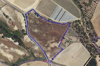 Propriété à Gibraleón. Finca rúst. en venta en gibraleón.