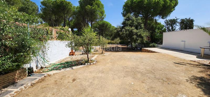 Foto 819e55aa-ac52-4405-a672-30568f5bfde7. Masia a Valverde del Camino