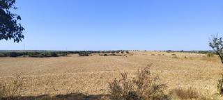 Masía en Tojaillo. Finca rúst. en venta en gibraleón, 2 dormitorios.