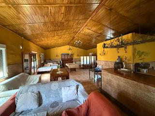 Masia a Gibraleón. Finca rúst. en venta en gibraleón.