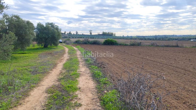 Foto f007a89c-ba1c-422d-889c-74e31fc1f5ef. Masia a Gibraleón