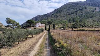 Xalet  Carrer carretera. Casa de campo con gran parcela en trbena
