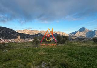 Finca rústica  Serral. Estupenda parcela con almacén en tàrbena