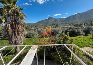 Xalet  Cam de les saleres. Estupendo chal con gran parcela en parcent