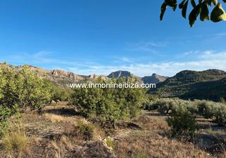 Finca rústica a Casas ibañez 9. Casa de campo a reformar con gran parcela en tàrbena