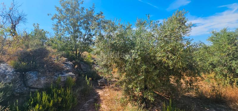 Foto 12a147f0-2054-4202-b4b1-6c6ad92876e8. Finca rústica a Juncosa