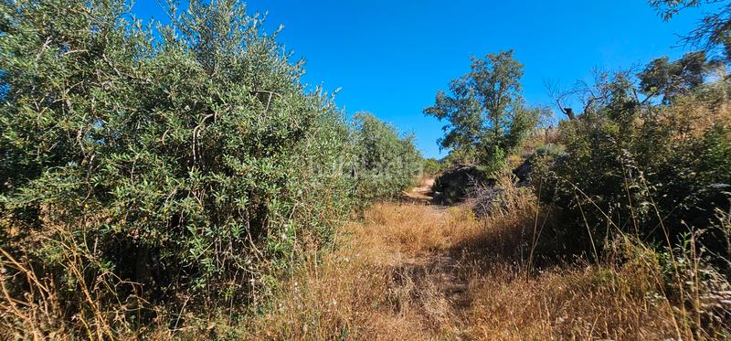 Foto 18e00fa6-e245-4703-babd-d596a16ae3b5. Finca rústica a Juncosa