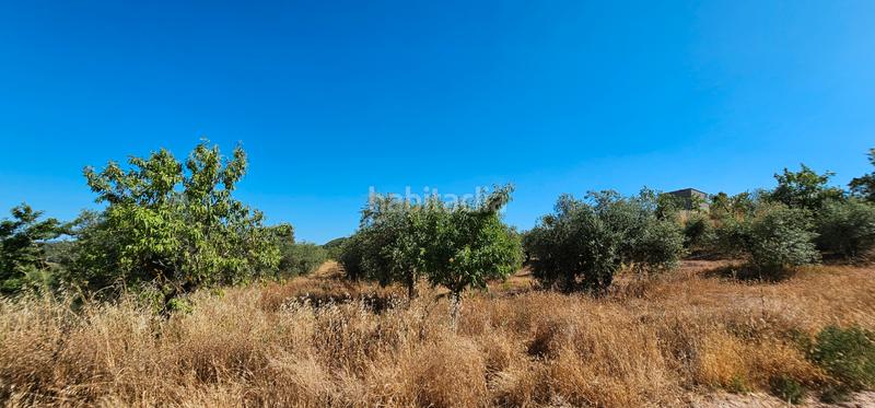Foto 318a9c12-f62d-4c4e-8ba7-77fb2f72d1ca. Finca rústica a Juncosa