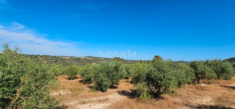 Foto 40d2a789-adcf-4381-a691-2ac8b48bc6e8. Finca rústica a Juncosa
