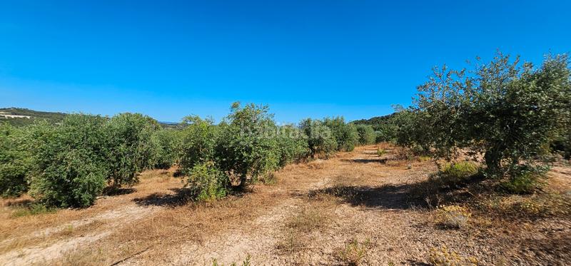 Foto 477f7563-8ad6-40d4-b120-3941de149fd7. Finca rústica a Juncosa