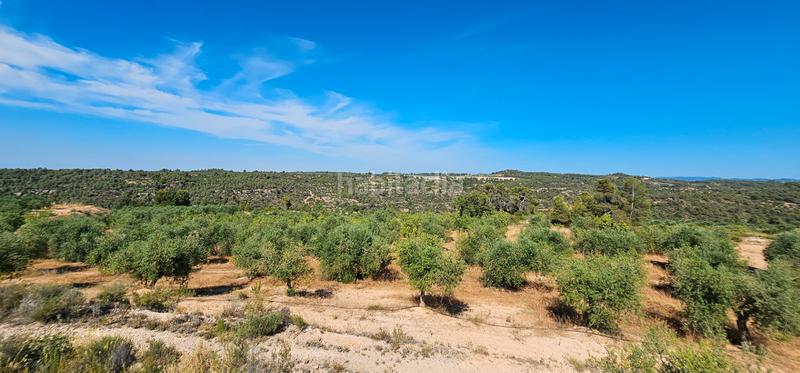 Foto 5131b6fb-435c-4216-b8b8-57574820839c. Finca rústica a Juncosa
