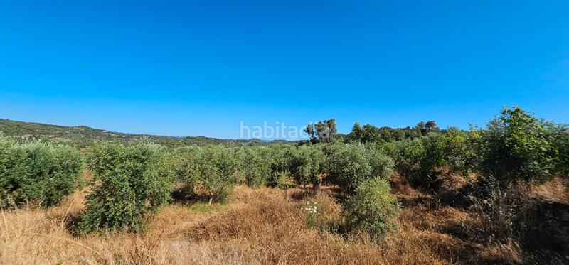 Foto 5ee7d8d1-4c1d-404b-9a8a-95b101871267. Finca rústica a Juncosa