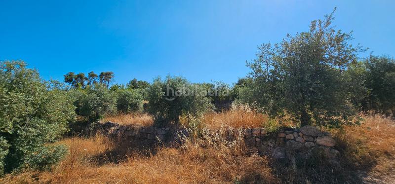 Foto 932867aa-0083-43d7-a22e-1e3fb9f7bce7. Finca rústica a Juncosa