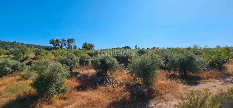 Foto a72c7ef4-b407-49c9-ab37-7c6293420681. Finca rústica a Juncosa