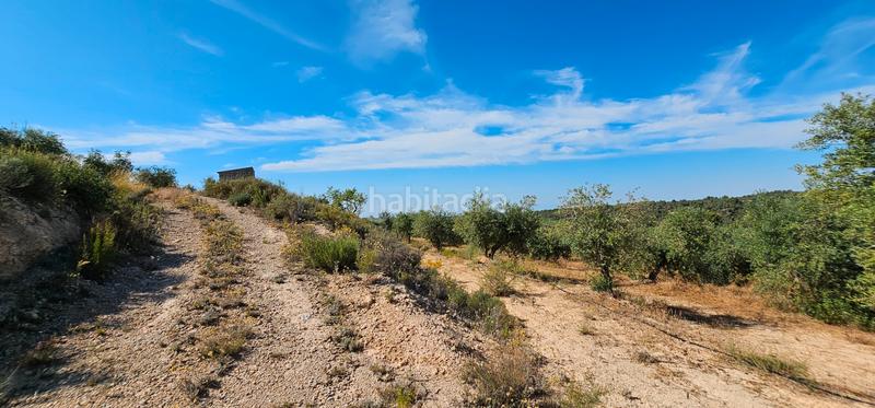 Foto abfe4b03-23b9-4bdf-bf25-74d4d302d6be. Finca rústica a Juncosa