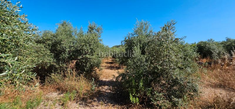 Foto b01e4554-8e6f-48d9-ae04-f005999dfe02. Finca rústica a Juncosa