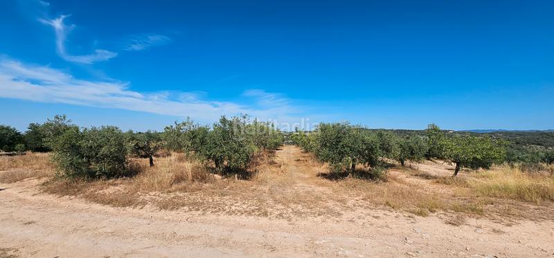 Foto cb633f7f-4857-4b3b-afee-2870c5f6320c. Finca rústica a Juncosa