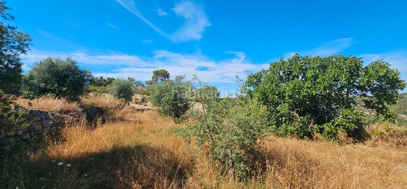 Foto eaa11df3-bf7e-4506-87a0-f3cc80376e49. Finca rústica a Juncosa