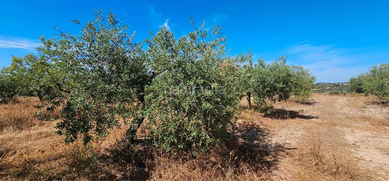 Foto ed518d29-a62f-4e9f-b5dc-402764711b5e. Finca rústica a Juncosa