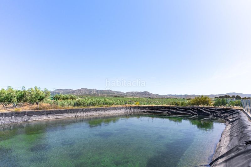 Foto 515d8688-eb30-4fef-86e3-ca655126d0f1. Finca rústica a polígono cjo manolones 0 a Tíjola