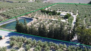 Finca rústica en Polígono cjo manolones 0. Finca con luz, agua y certificado urbanístico en tíjola