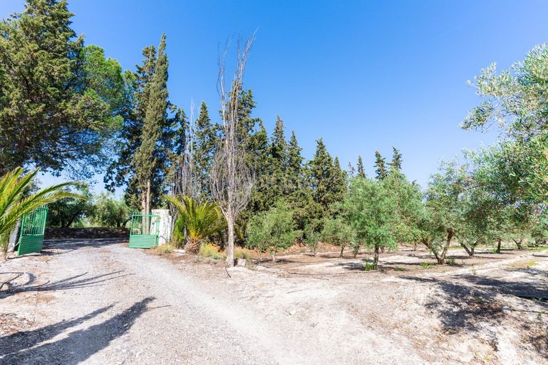 Foto a8142540-9d67-4900-b886-c3b3fd04d452. Finca rústica a polígono cjo manolones 0 a Tíjola