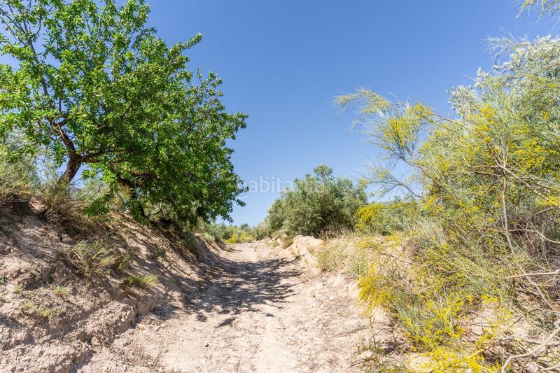 Foto ed4661ce-6e00-456c-8b12-a2e23dbdd8a0. Finca rústica a polígono cjo manolones 0 a Tíjola