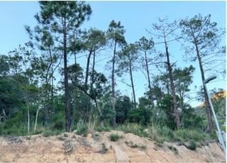 Terrain résidentiel à Rosamar