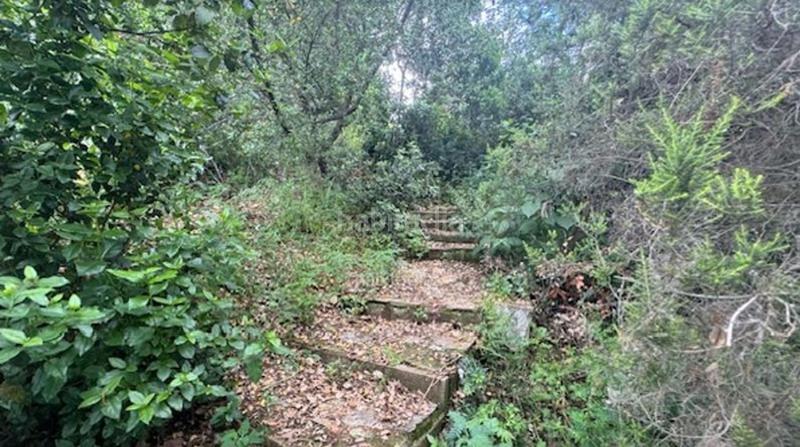 Foto db527fb6-e795-4ad4-a60a-bd8cc53cc31e. Haus in Can Carreras - Montessol Pineda de Mar