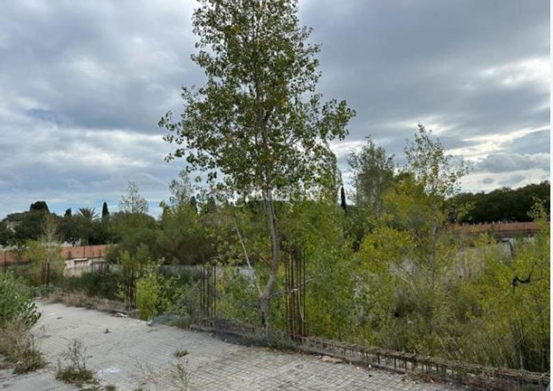 Foto 1604afe3-bc60-44b3-a329-a4bbbd4827a8. Edifici a Eixample-Horta Capallera Figueres