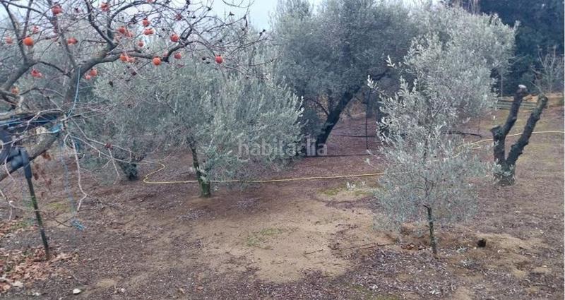 Foto 2143b683-cfb4-48cd-8712-0dcb487fa9a6. Terreno residenziale in Caldes de Montbui