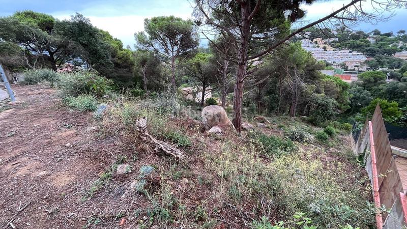 Foto 4f449bd6-a87a-4232-b1c2-98c5f9e15c4e. Terreno residencial en Serra Brava Lloret de Mar