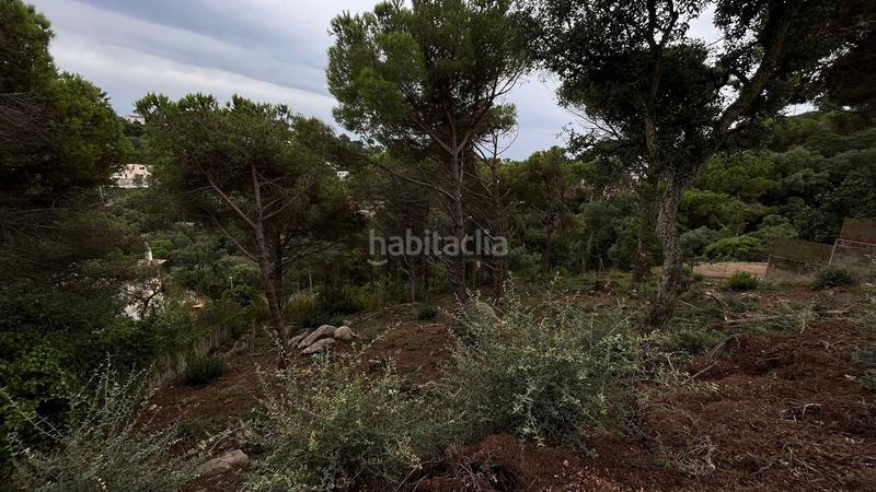 Foto d215dfc6-b51d-478c-8350-0169fc79e364. Terreno residencial en Serra Brava Lloret de Mar