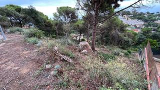 Residential Plot in Serra Brava