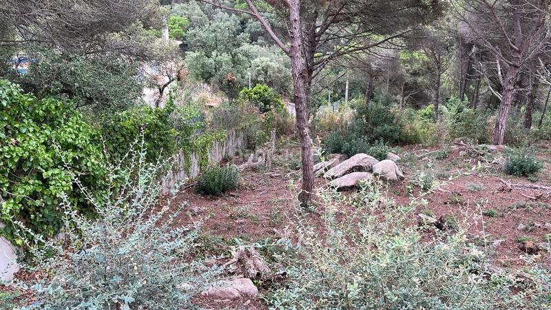 Foto 7cf6e6cf-0f55-4187-b526-c5480a5a691b. Terrain résidentiel dans Serra Brava Lloret de Mar